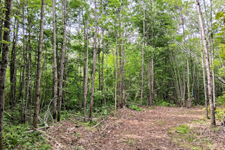 Northwest WI Acreage Near St. Croix River!