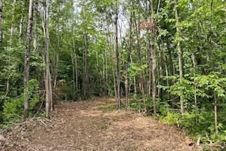 Minong Flowage Area Land For Sale!