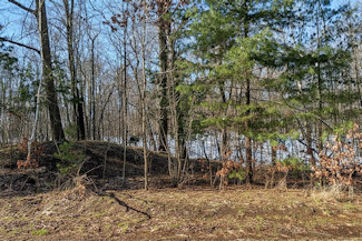 1.9 Acres Near National Forest! 1.9 Acres Near National Forest!