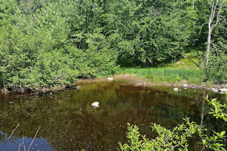 Waterfront Property on the Somo River! Waterfront Property on the Somo River!