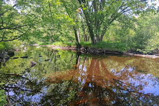 Waterfront Property on the Somo River! Waterfront Property on the Somo River!