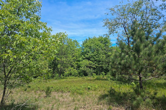 Waterfront Property on the Somo River! Waterfront Property on the Somo River!