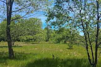 Waterfront Property on the Somo River! Waterfront Property on the Somo River!