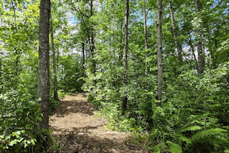 Minong Flowage Area Land For Sale! Minong Flowage Area Land For Sale!