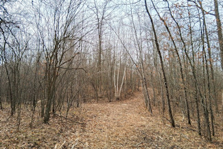 Northwest WI Acreage Near Namekagon River! Northwest WI Acreage Near Namekagon River!
