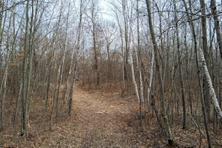 Northwest WI Acreage Near Namekagon River! Northwest WI Acreage Near Namekagon River!