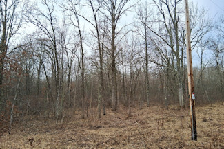 Northwest WI Acreage Near Namekagon River! Northwest WI Acreage Near Namekagon River!