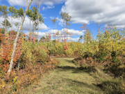 1.7 Acres & 106 Feet of Lakefront near Conover, WI 1.7 Acres & 106 Feet of Lakefront near Conover, WI