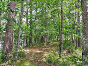 Rhinelander, WI Lakefront Property - 120' Sandy Beach! Rhinelander, WI Lakefront Property - 120' Sandy Beach!