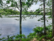 Rhinelander, WI Lakefront Property - 120' Sandy Beach! Rhinelander, WI Lakefront Property - 120' Sandy Beach!