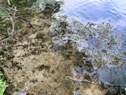 Rhinelander, WI Lakefront Property - 120' Sandy Beach! Rhinelander, WI Lakefront Property - 120' Sandy Beach!