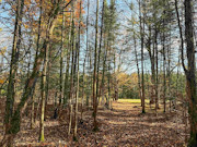 3+ Acres of Secluded Lakeview Land for Sale near Phillips, WI 3+ Acres of Secluded Lakeview Land for Sale near Phillips, WI