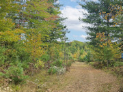 5 Acres of Buildable Land for Sale Near Barnes, WI 5 Acres of Buildable Land for Sale Near Barnes, WI