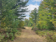 5 Acres of Buildable Land for Sale Near Barnes, WI 5 Acres of Buildable Land for Sale Near Barnes, WI