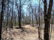 Wooded Land Near Fishtrap Lake with National Forest Border in Winter, WI Wooded Land Near Fishtrap Lake with National Forest Border in Winter, WI