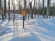 1.9 Acres Near Winter, WI - Buildable Northwoods Land by Lakes & Trails