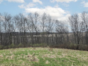Nearly 25 Wooded Acres Near Gays Mills, WI - Wildlife, Views & Driftless Recreation Nearly 25 Wooded Acres Near Gays Mills, WI - Wildlife, Views & Driftless Recreation