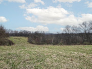 Nearly 25 Wooded Acres Near Gays Mills, WI - Wildlife, Views & Driftless Recreation Nearly 25 Wooded Acres Near Gays Mills, WI - Wildlife, Views & Driftless Recreation