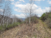 Nearly 25 Wooded Acres Near Gays Mills, WI - Wildlife, Views & Driftless Recreation Nearly 25 Wooded Acres Near Gays Mills, WI - Wildlife, Views & Driftless Recreation