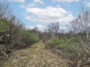 Nearly 25 Wooded Acres Near Gays Mills, WI - Wildlife, Views & Driftless Recreation Nearly 25 Wooded Acres Near Gays Mills, WI - Wildlife, Views & Driftless Recreation