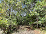 1.57 Acres Buildable Wooded Land Close to Lakes, Trails & Public Land