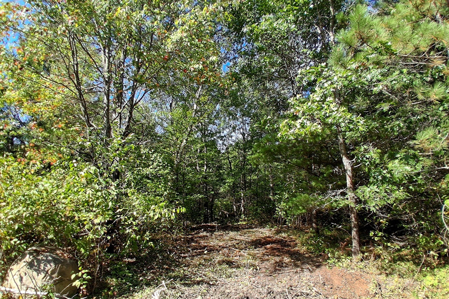 View the New Listing