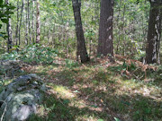 1.57 Acres Buildable Wooded Land Close to Lakes, Trails & Public Land