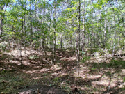 1.57 Acres Buildable Wooded Land Close to Lakes, Trails & Public Land