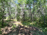 1.57 Acres Buildable Wooded Land Close to Lakes, Trails & Public Land