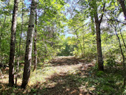 1.57 Acres Buildable Wooded Land Close to Lakes, Trails & Public Land