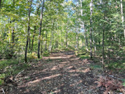 Own Your Northwoods Getaway - Nearly 5 Acres Near Pickerel & Crandon