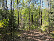 5 Acres with Pond & Nicolet National Forest Access Near Crandon