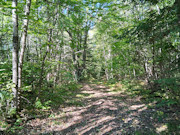 5 Acres with Pond & Nicolet National Forest Access Near Crandon