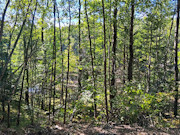 5 Acres with Pond & Nicolet National Forest Access Near Crandon