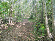 Northwoods Base Camp - 5 Wooded Acres Near Pickerel & Crandon