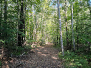 Northwoods Base Camp - 5 Wooded Acres Near Pickerel & Crandon