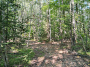 Northwoods Base Camp - 5 Wooded Acres Near Pickerel & Crandon Northwoods Base Camp - 5 Wooded Acres Near Pickerel & Crandon
