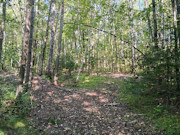 Northwoods Base Camp - 5 Wooded Acres Near Pickerel & Crandon Northwoods Base Camp - 5 Wooded Acres Near Pickerel & Crandon