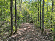 Your Private Northwoods Base Camp - 5.1 Acres Near Crandon, WI