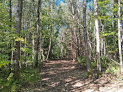 Your Private Northwoods Base Camp - 5.1 Acres Near Crandon, WI