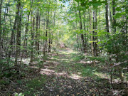 Your Private Northwoods Base Camp - 5.1 Acres Near Crandon, WI
