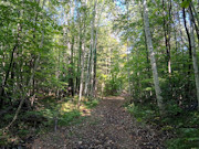 3 Acres Bordering Nicolet National Forest in Northern, WI