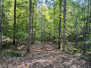 3 Acres Bordering Nicolet National Forest in Northern, WI 3 Acres Bordering Nicolet National Forest in Northern, WI