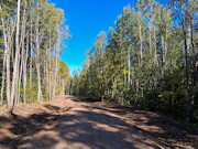3 Acres Bordering Nicolet National Forest in Northern, WI 3 Acres Bordering Nicolet National Forest in Northern, WI