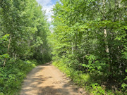 20 Acres Adjoining State Land Near Tomahawk - Buildable Privacy by Lake Nokomis