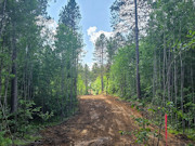 20 Acres Adjoining State Land Near Tomahawk - Buildable Privacy by Lake Nokomis 20 Acres Adjoining State Land Near Tomahawk - Buildable Privacy by Lake Nokomis