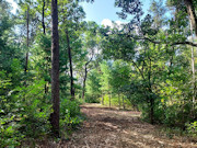3.5 Acres Near Adams-Friendship, WI and Castle Rock Lake 3.5 Acres Near Adams-Friendship, WI and Castle Rock Lake