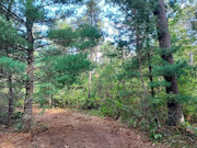 3.5 Acres Near Adams-Friendship, WI and Castle Rock Lake 3.5 Acres Near Adams-Friendship, WI and Castle Rock Lake