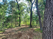 3.5 Acres Near Adams-Friendship, WI and Castle Rock Lake 3.5 Acres Near Adams-Friendship, WI and Castle Rock Lake