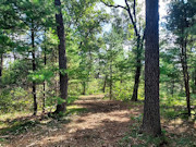 3.5 Acres Near Adams-Friendship, WI and Castle Rock Lake 3.5 Acres Near Adams-Friendship, WI and Castle Rock Lake